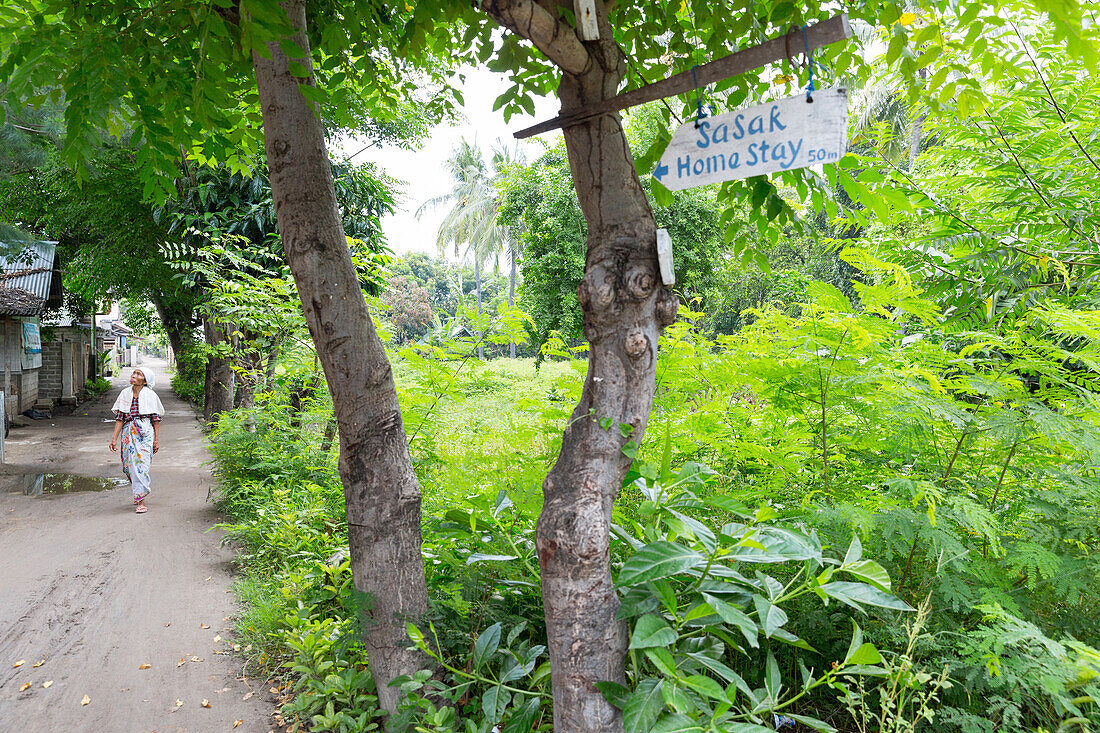 Signpost to Sasak homestay beside a path, Gili Air, Lombok, Indonesia