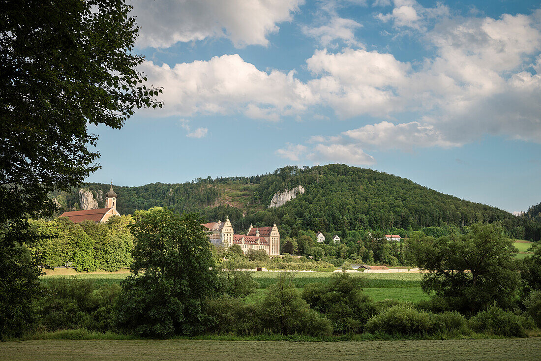 Blick zum Kloster Beuron, Naturpark Oberes Donautal, Landkreis Sigmaringen, Schwäbische Alb, Baden-Württemberg, Deutschland