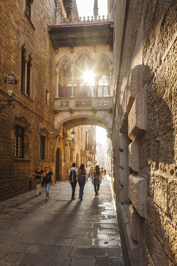 Carrer del Bisbe, bridge from 1928, modernisme, city district Barri Gotic, gothic quarter, Ciutat Vella, old town, Barcelona, Catalunya, Catalonia, Spain, Europe