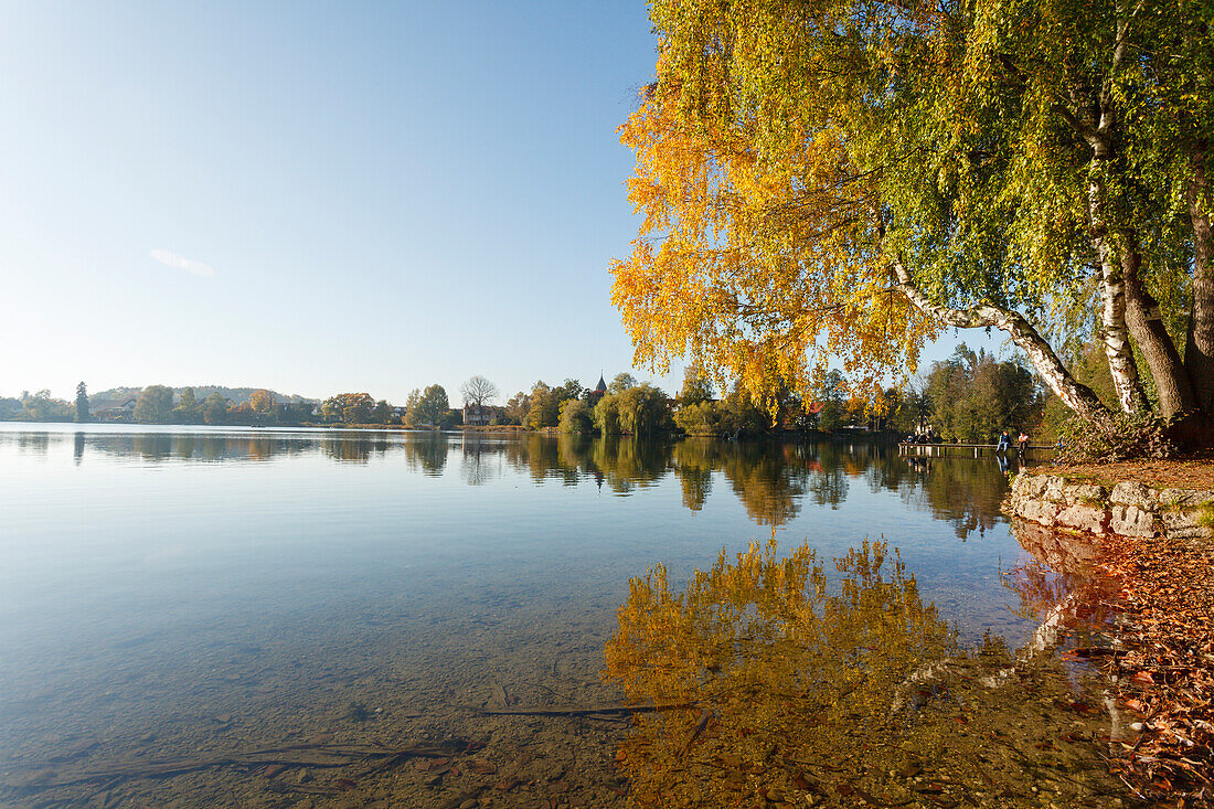 Weßlinger See, Herbst, goldener Oktober, Fünfseenland, Landkreis Starnberg, Bayerisches Voralpenland, Oberbayern, Bayern, Deutschland, Europa