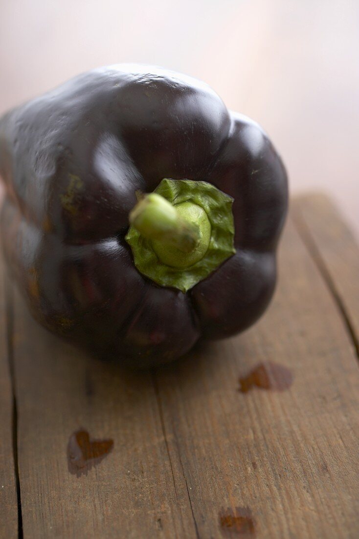 A Single Organic Purple Bell Pepper