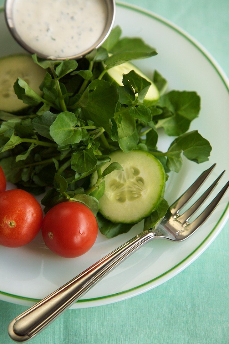 Small Watercress Salad with Ranch Dressing on the Side