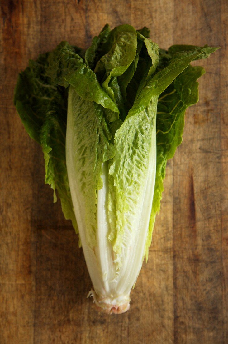 Head of Romaine Lettuce on Wood