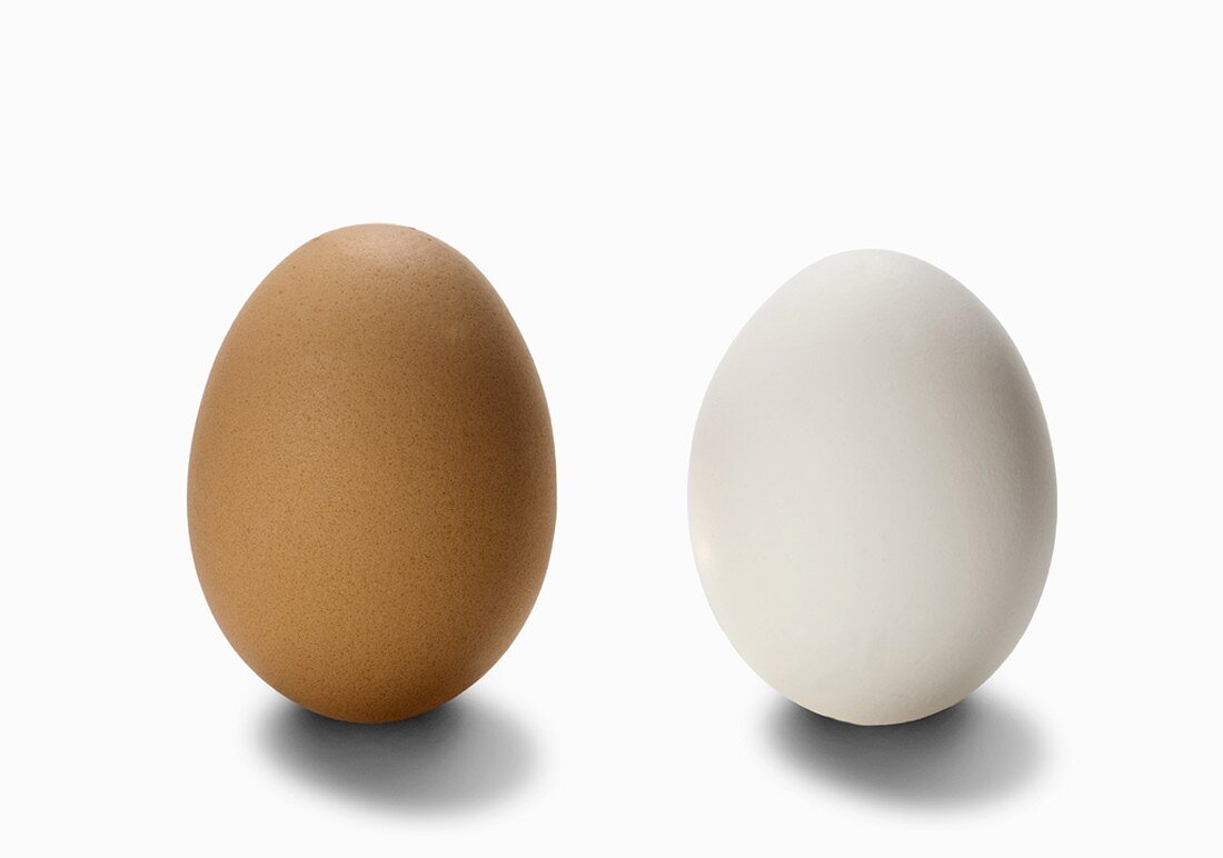 Braunes und weisses Ei