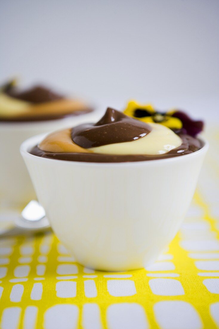 Chocolate, Vanilla and Butterscotch Pudding Swirled in Small Bowls