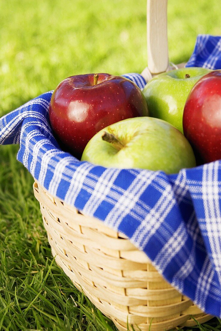 Basket of Assorted Apples on Grass