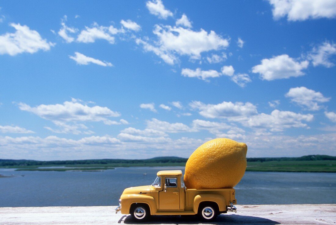 A Lemon in the Back of a Model Pick Up Truck by the Water