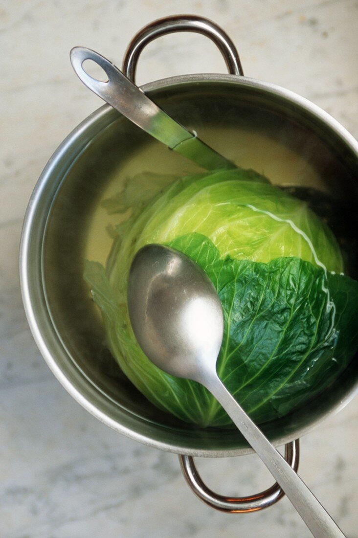 A Head of Cabbage in a Pot of Water