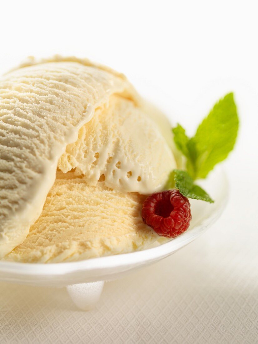 Bowl of Vanilla Ice Cream with Raspberry and Mint