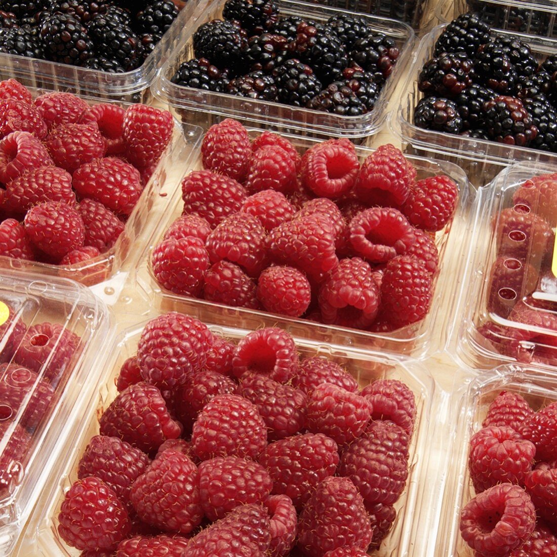 Himbeeren und Brombeeren in Plastikschalen