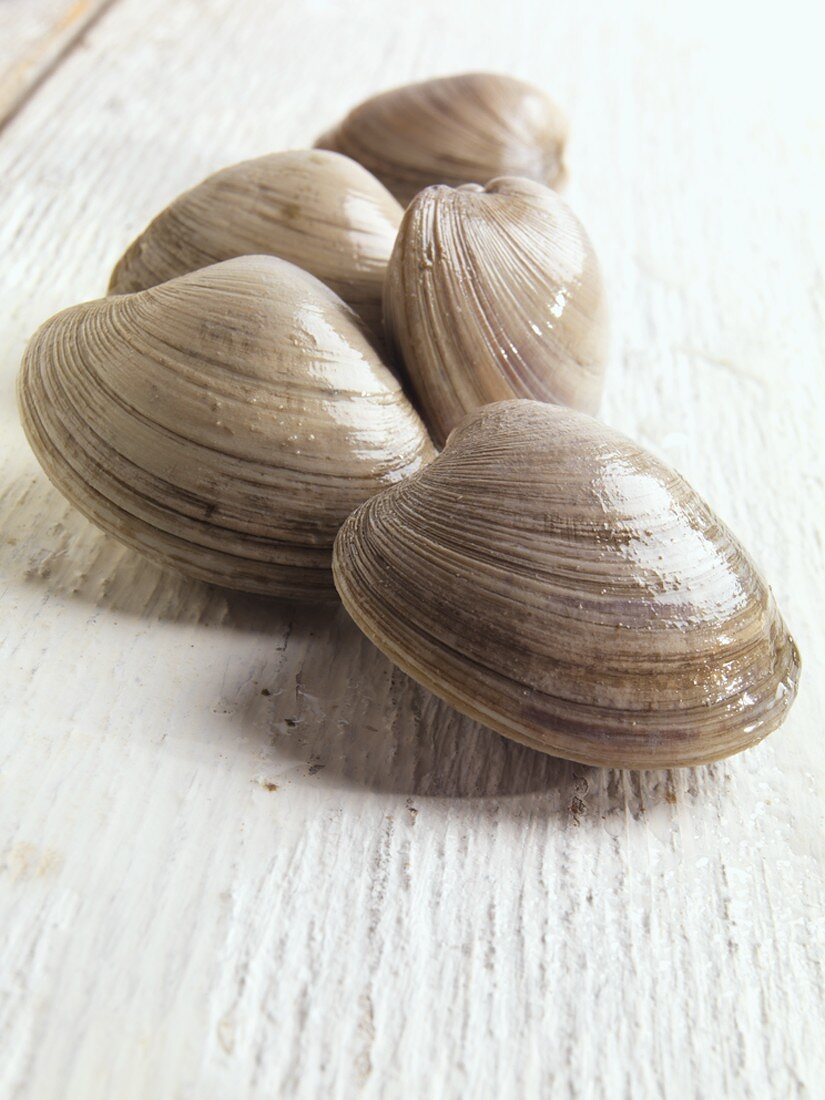 Fresh Middle Neck Clams