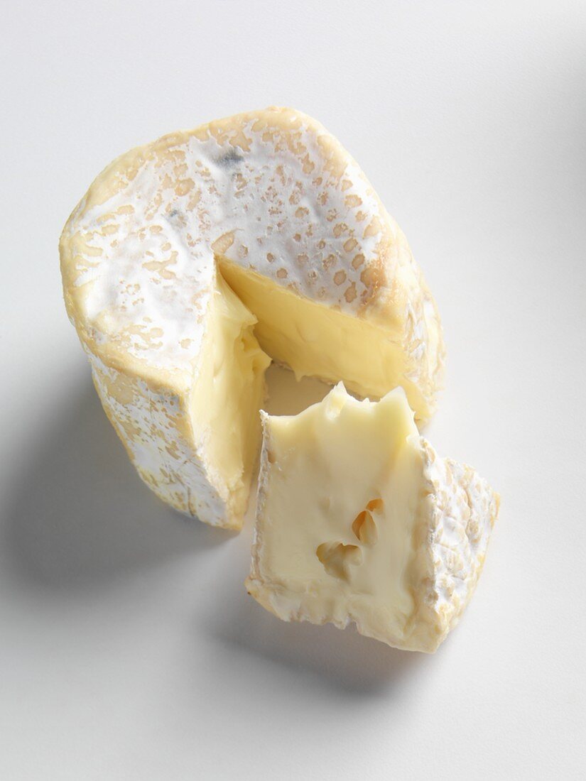 Petite Camembert