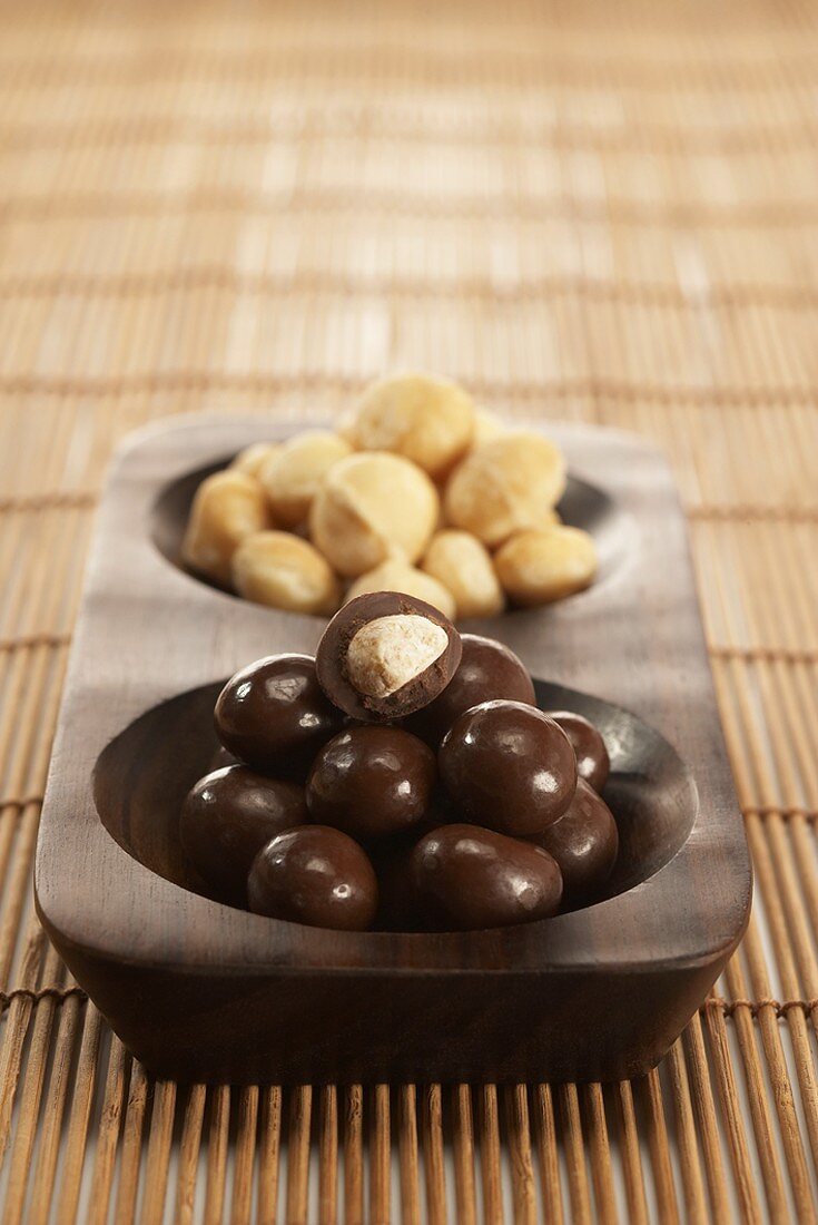 Chocolate Covered Macadamia Nuts with Roasted Macadamia Nuts