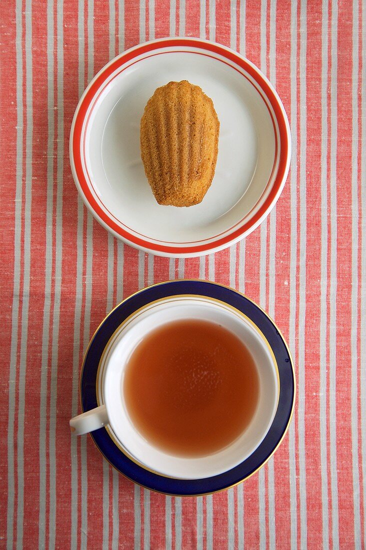 Madeleine auf Teller neben Tasse Tee