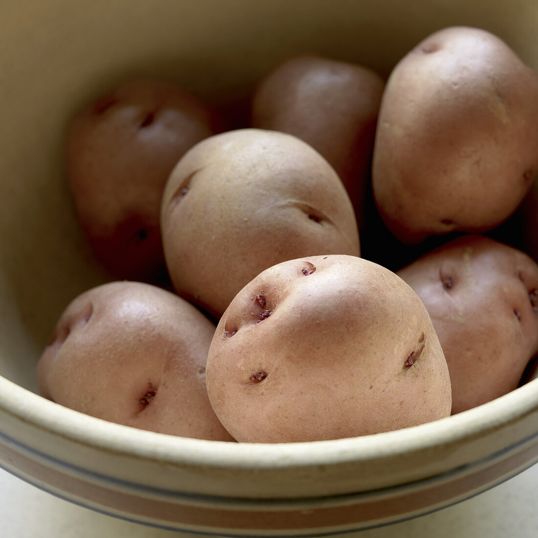 Rote Kartoffeln in einer Schale