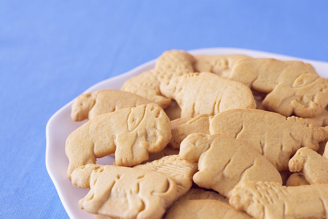 Plate of Animal Crackers; Blue Background