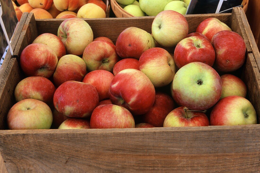 Eine Kiste mit frischen, rotbackigen Äpfeln