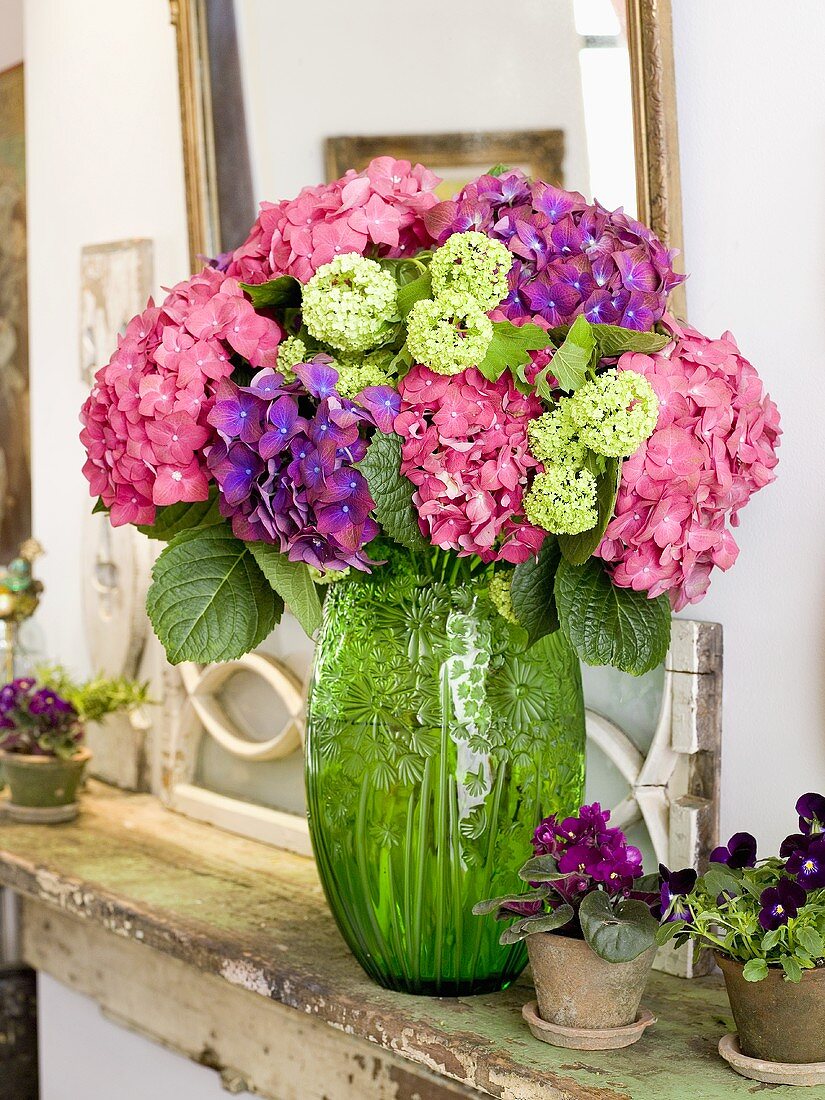 Bouquet of Hydrangeas with Potted Violets