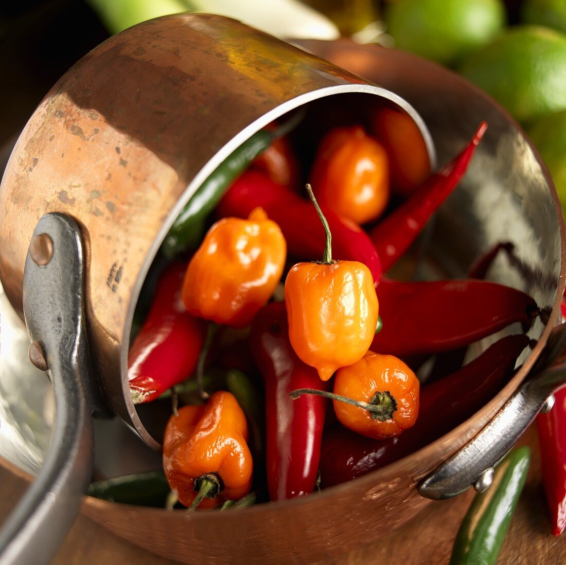 Scotch Bonnet and Chili Peppers in Copper Pots