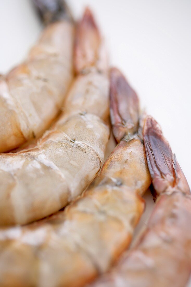 Raw Shrimp Tails; Close Up