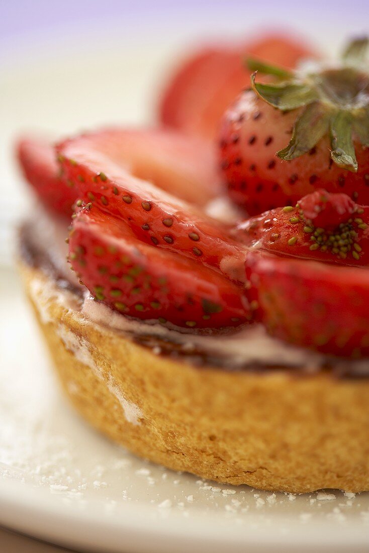 Close Up eines Erdbeer-Torteletts