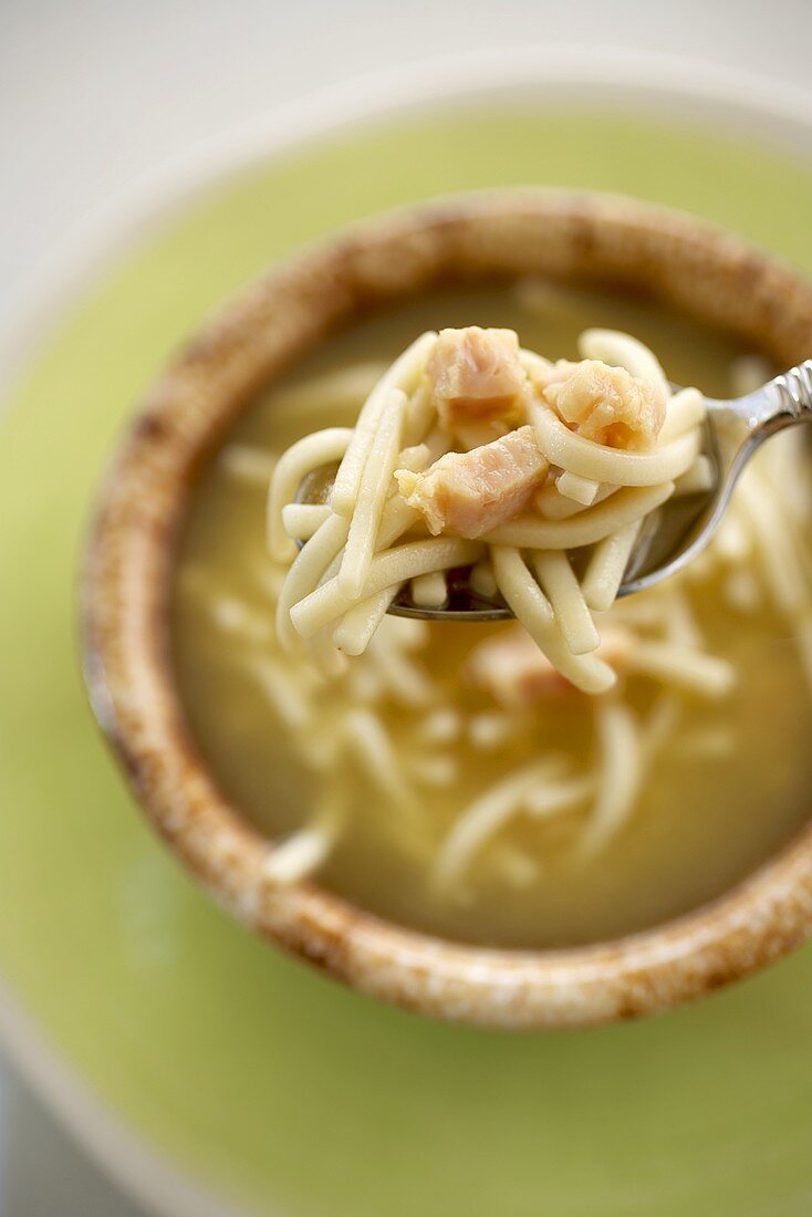 Spoonful of Chicken Noodle Soup; Close Up