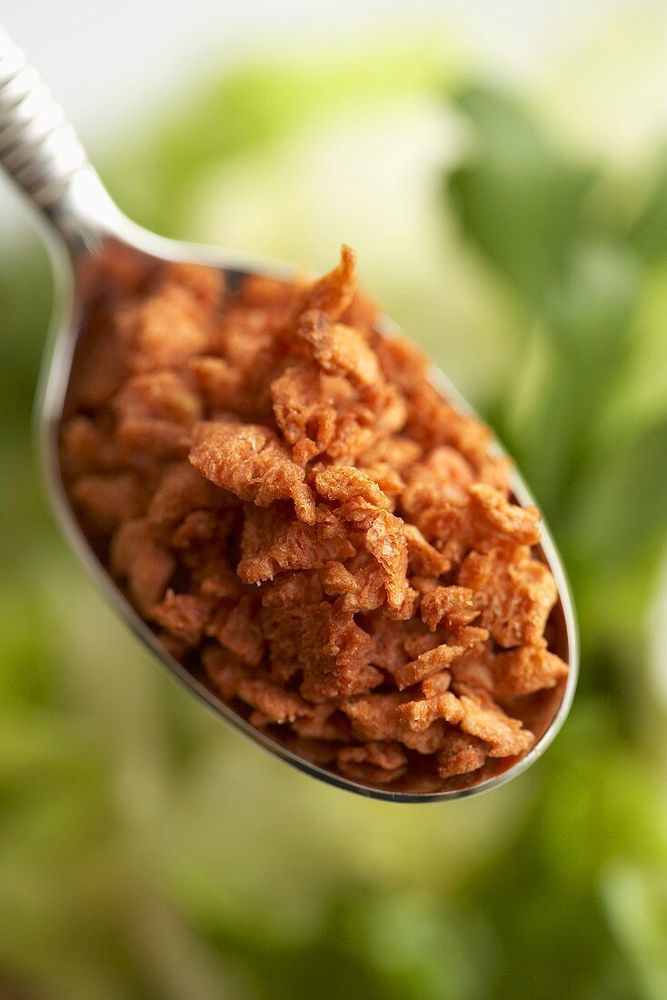 Spoonful of Bacon Bits; Close Up