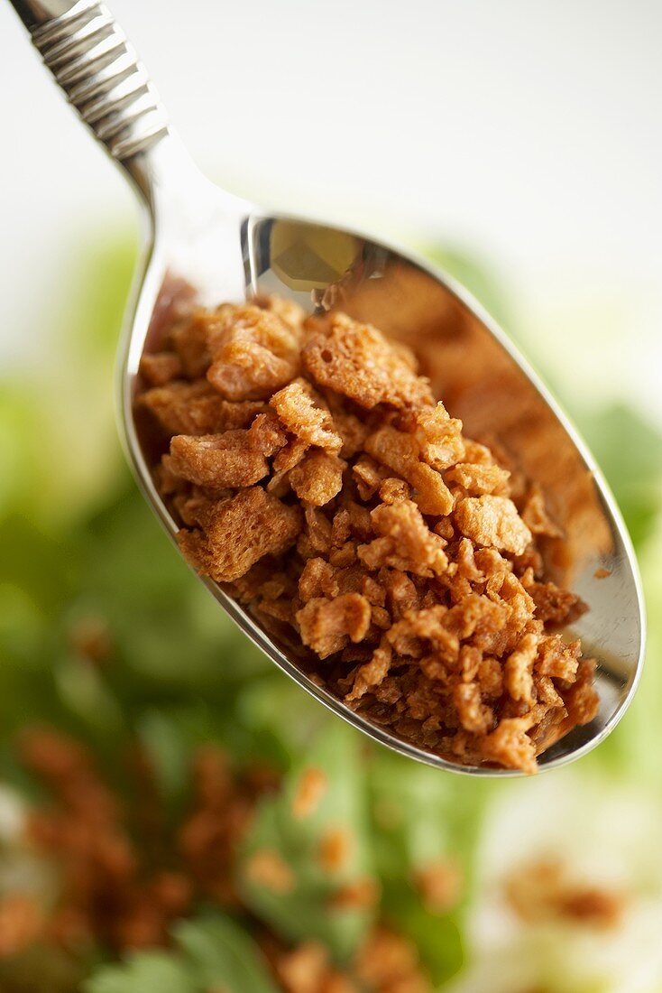 Spoonful of Bacon Bits Over a Salad