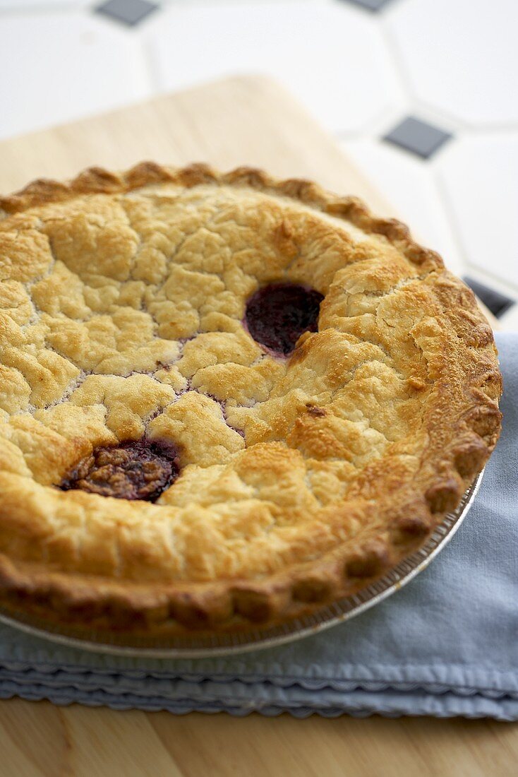 Ganzer Blueberry Pie (Heidelbeerkuchen, USA) in Alubackform