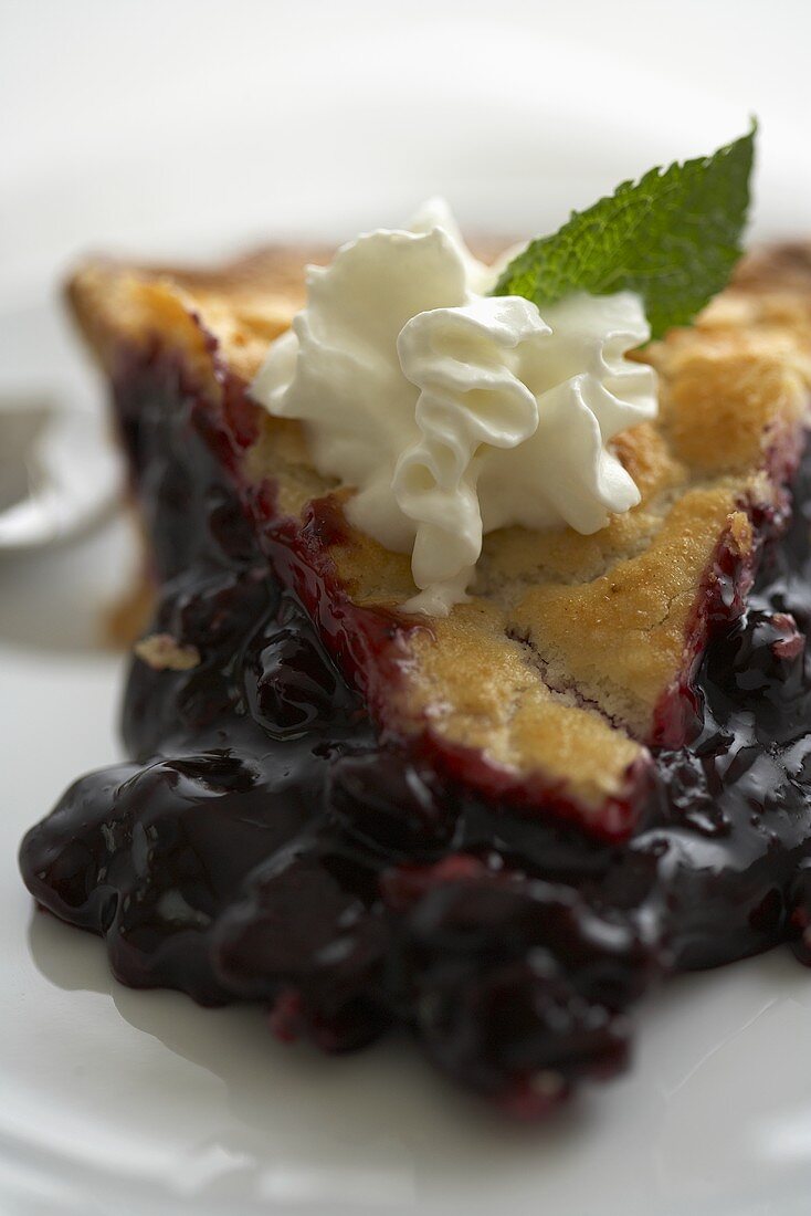 Blueberry Pie with Whipped Cream; Close Up