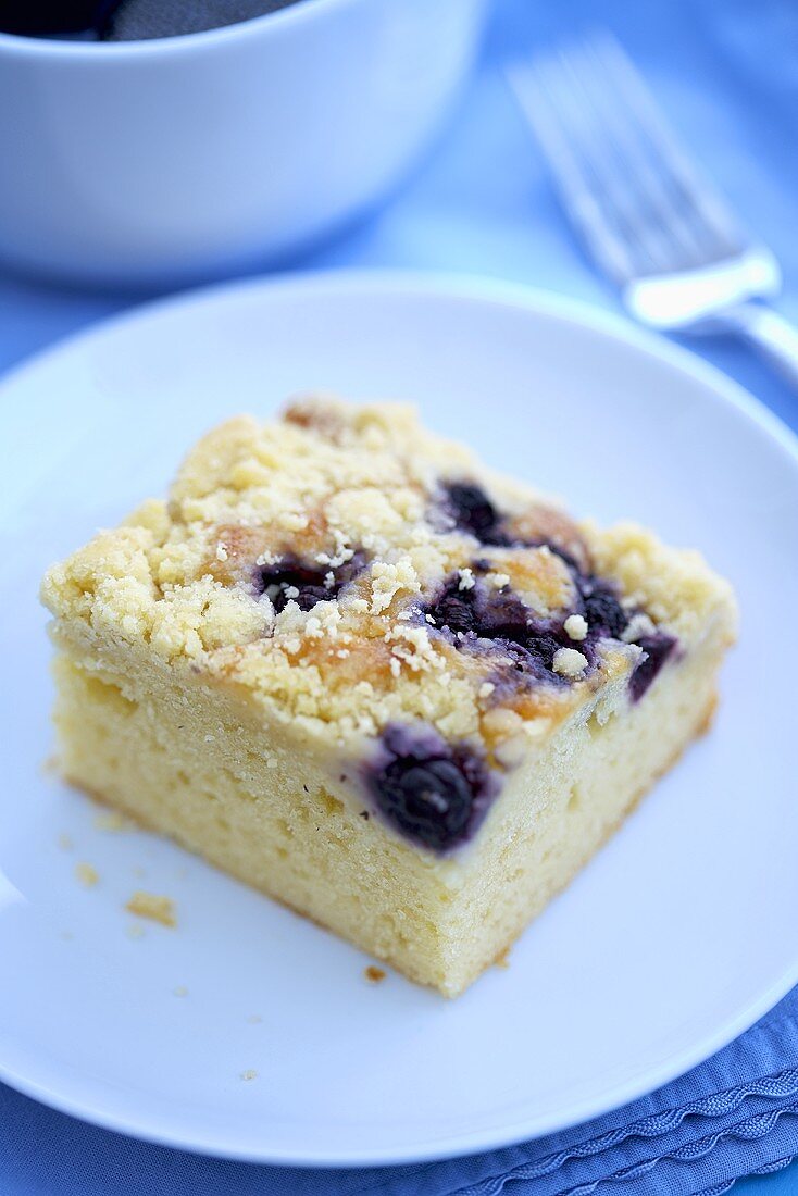 Piece of Blueberry Crumb Coffee Cake