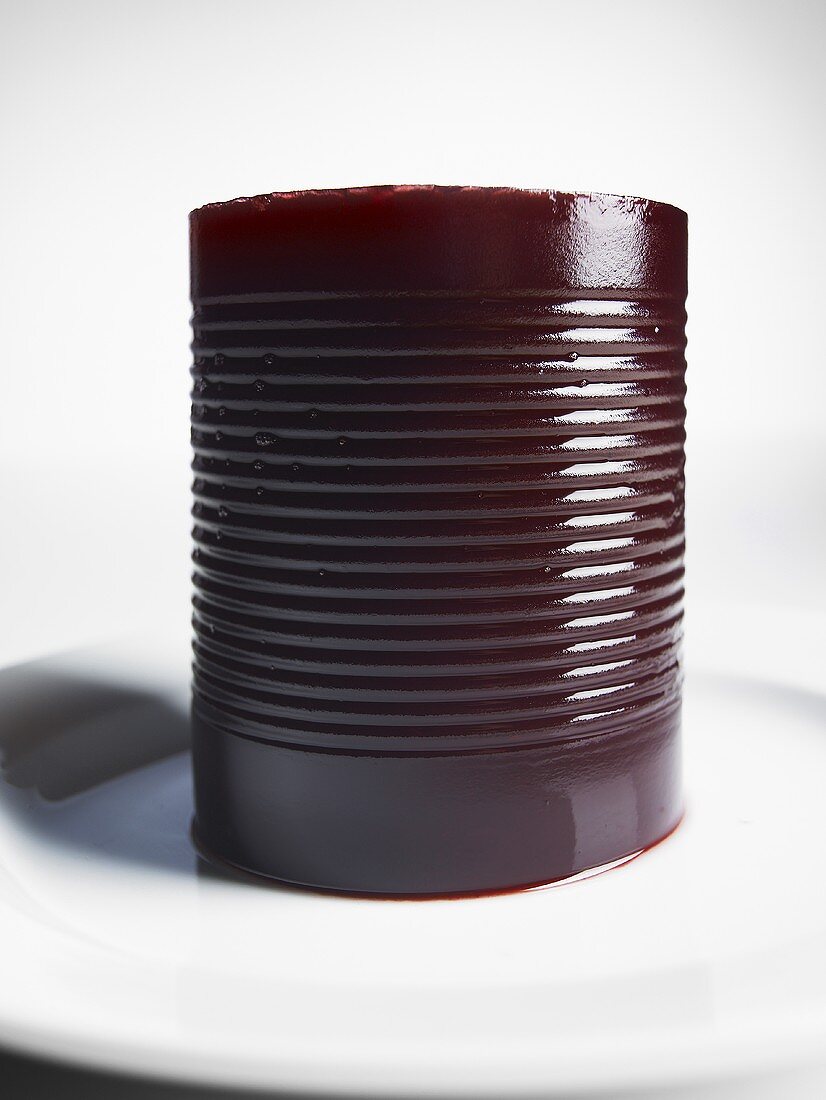 Jellied Cranberry Sauce Out of the Can; Still in Shape of Can