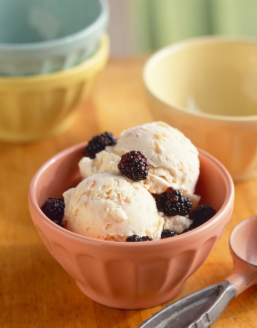Bowl of Vanilla Ice Cream with Black Berries