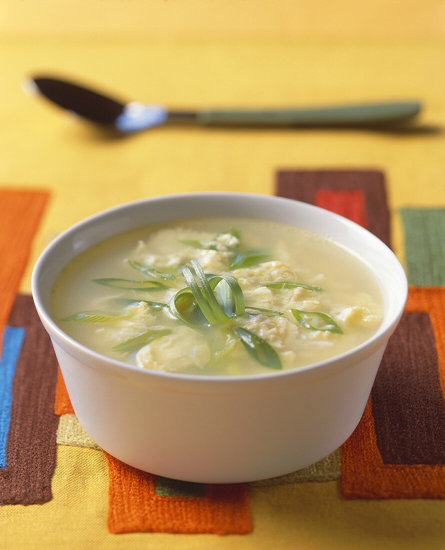 Bowl of Chicken and Scallion Soup