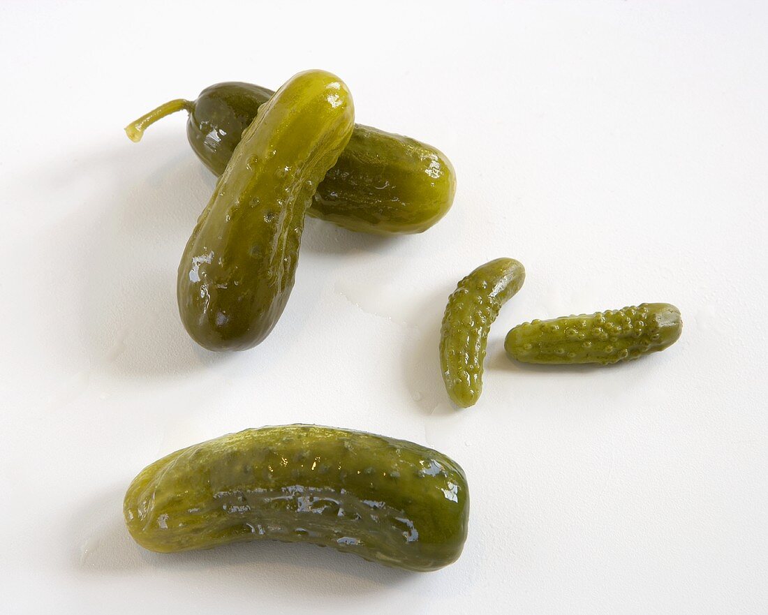 Pickles on a White Background