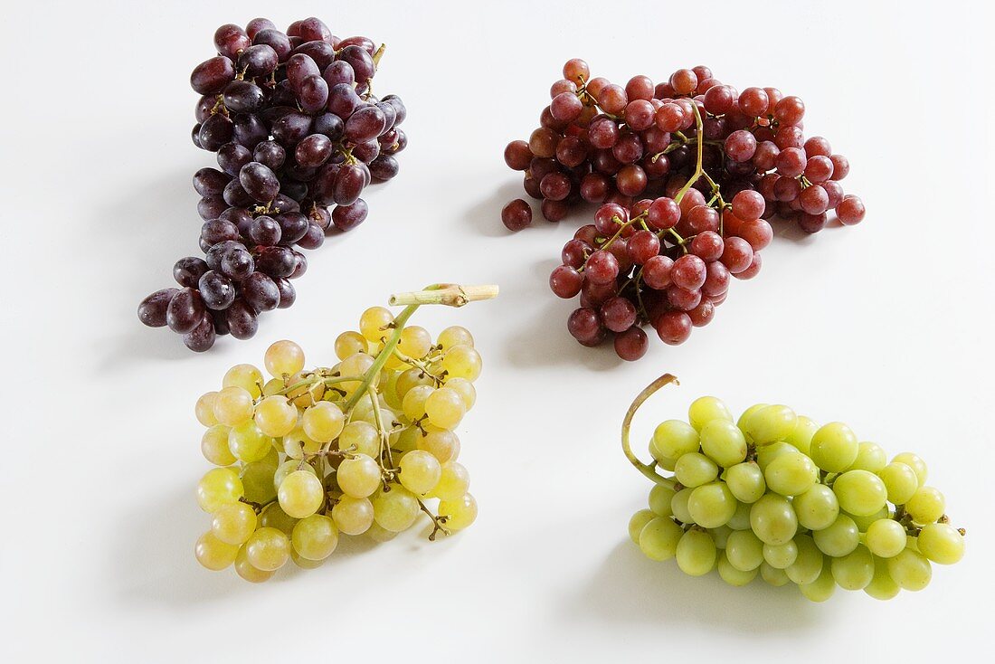 Vier verschiedene Sorten von Weintrauben auf weißem Untergrund