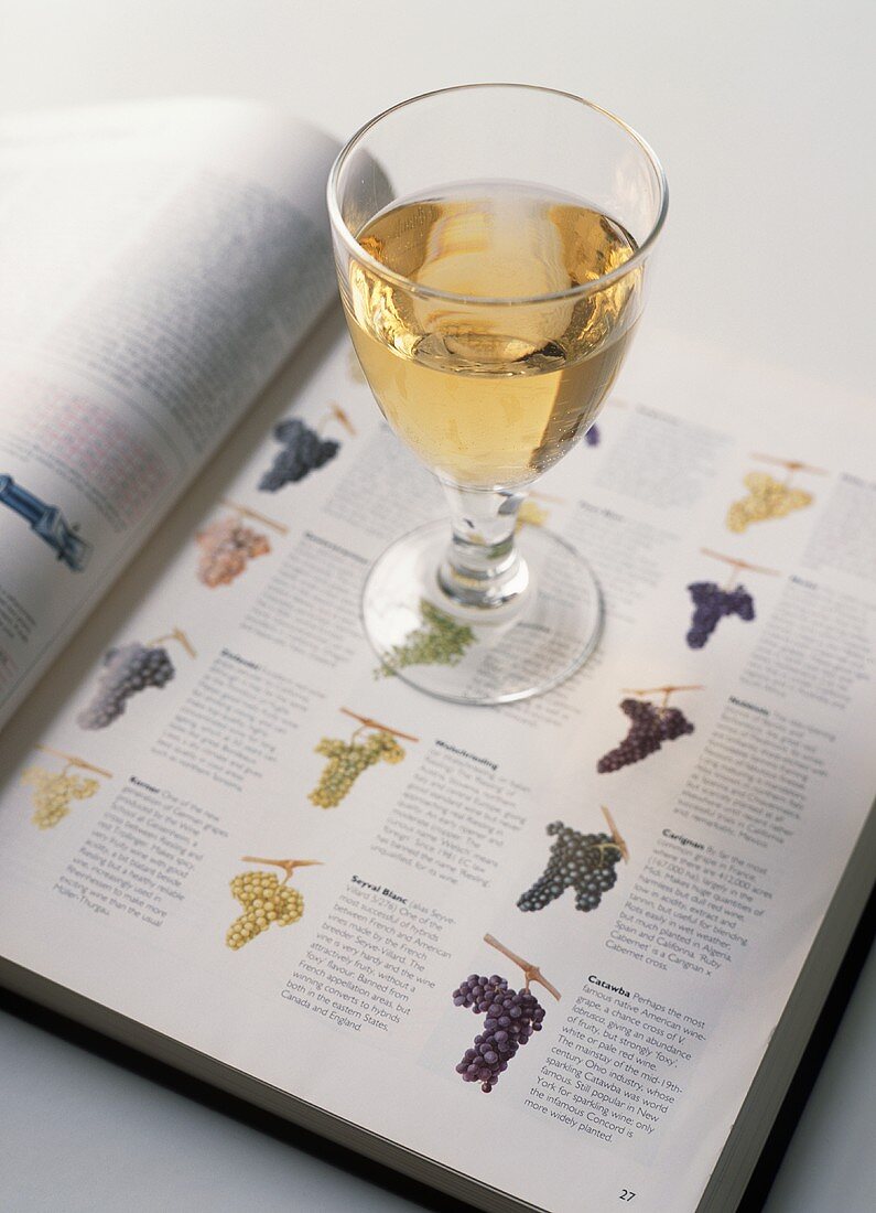 Weissweinglas auf einer Buchseite über Traubensorten