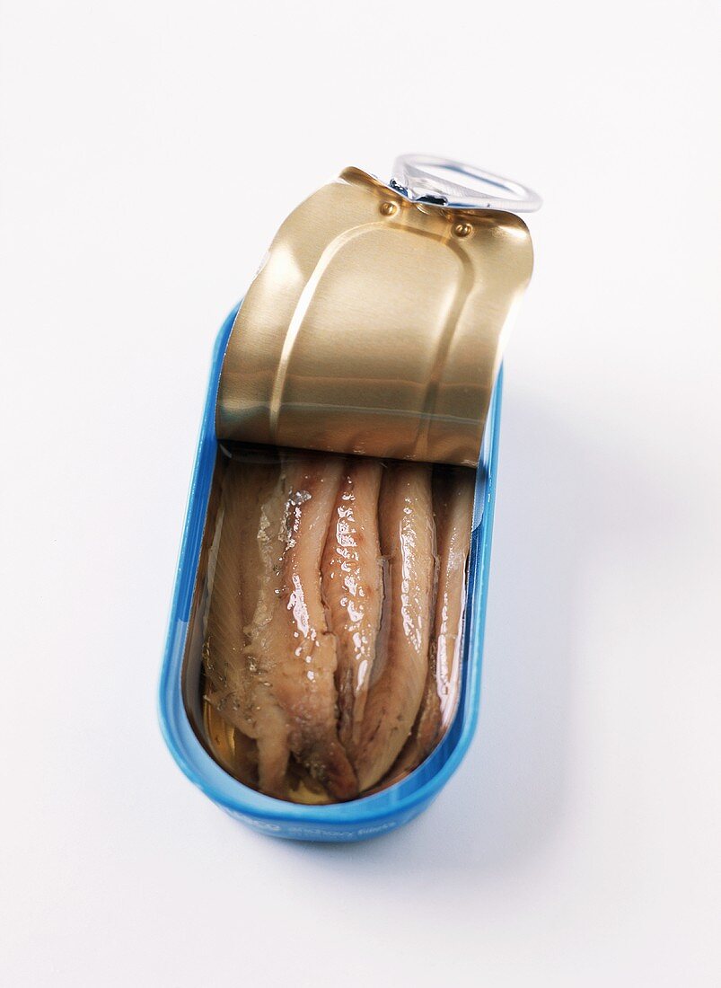 Opened Can of Anchovies
