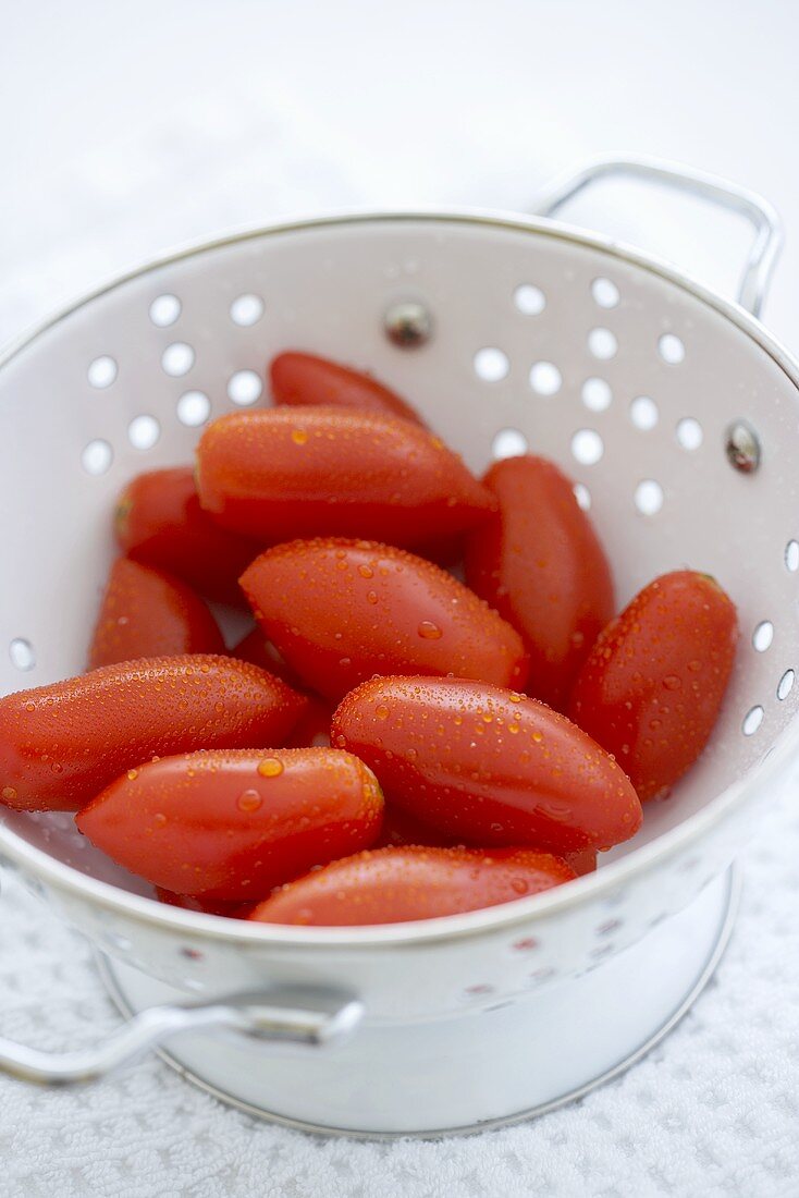 Freshly Washed Plum Tomatoes in a Colander