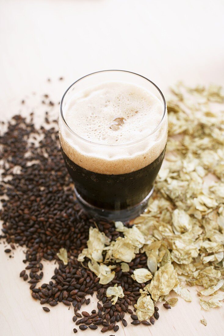 Imported Chocolate Malt Beer in a Mug, Grains and Hops