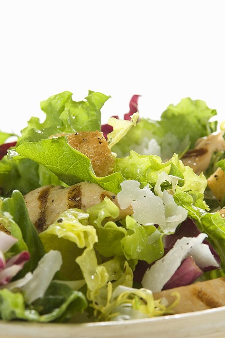 Gemischter Blattsalat mit Hähnchenbrust (Close Up)