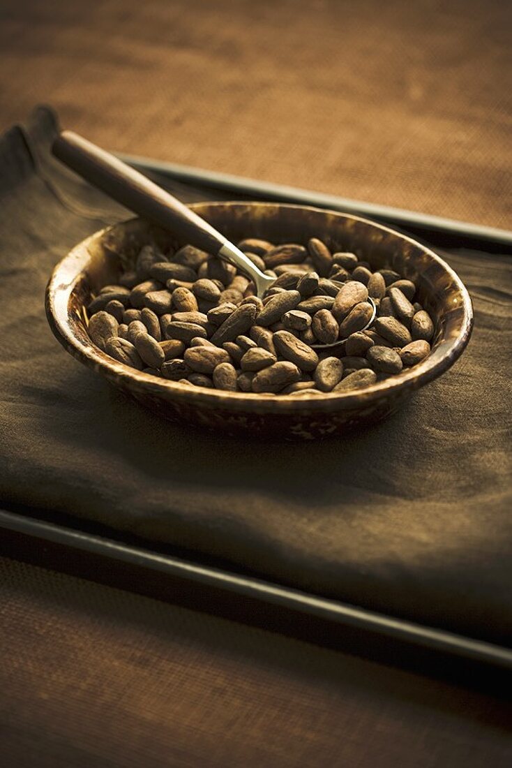 Cocoa Beans in a Bowl with a Spoon