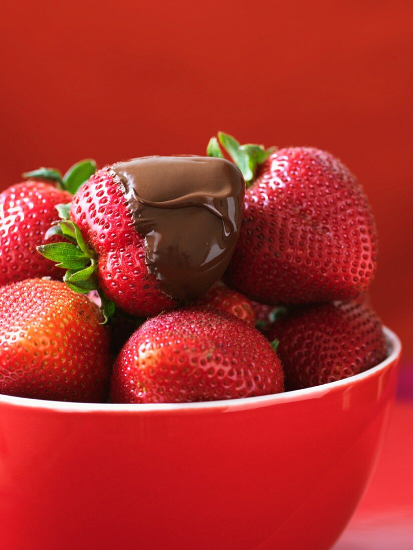 Fresh strawberries in a red bowl, one dipped in chocolate