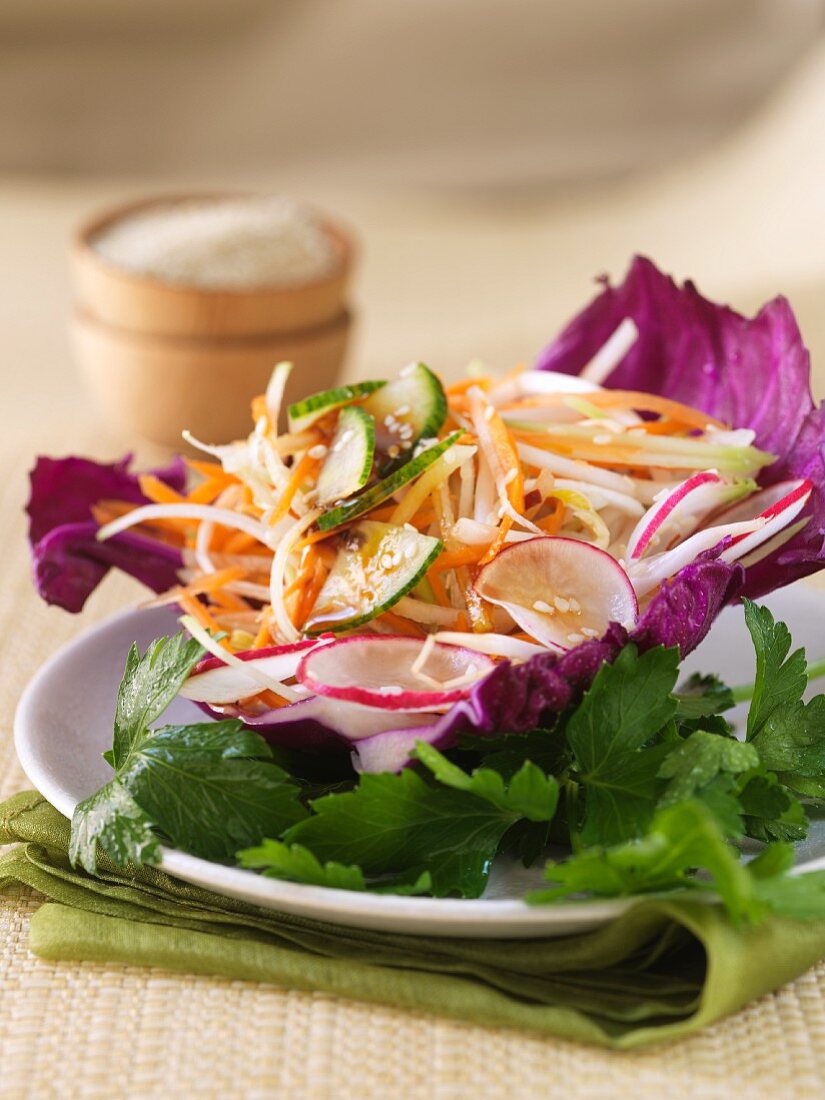 Carrot, radish & cucumber salad in a red cabbage leaf