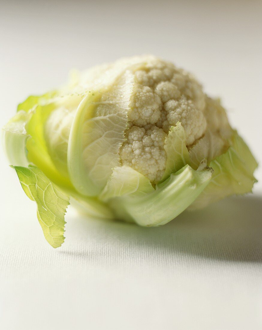 Head of Cauliflower on a White Background