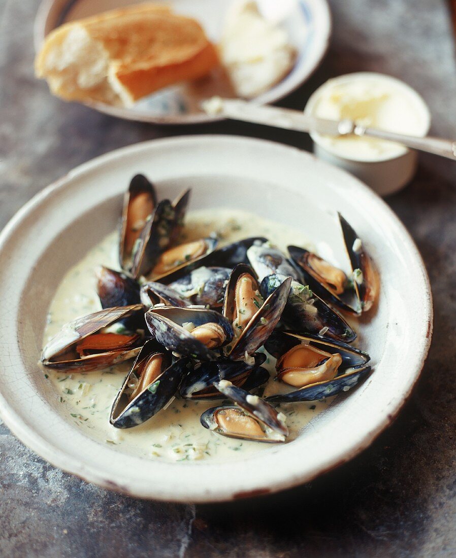 Mussels in Cream and Wine Sauce