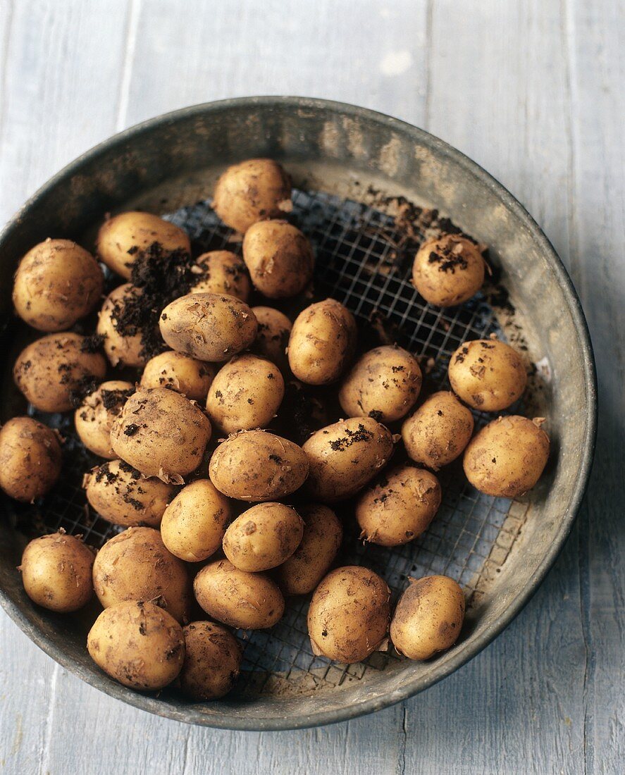 Many Organic Jersey Royal Potatoes