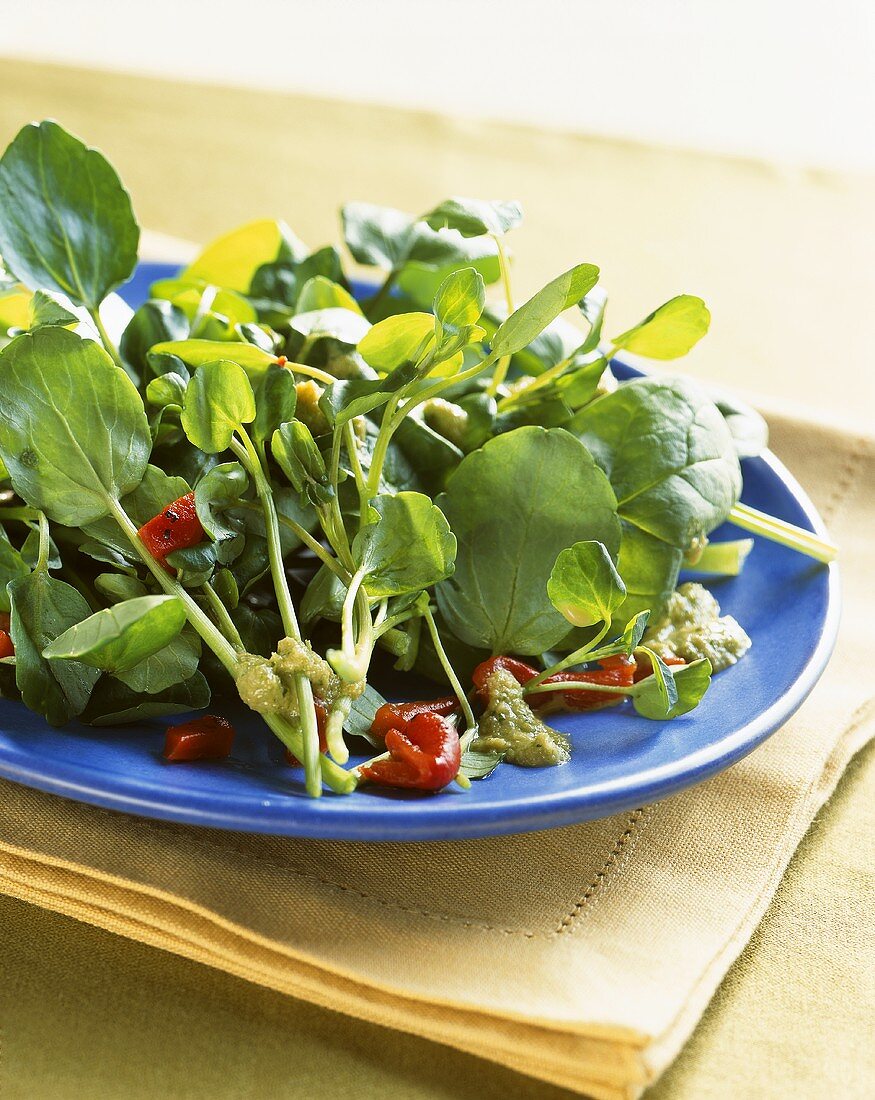 Grüner Blattsalat mit Pesto und gebratenen Peperoni