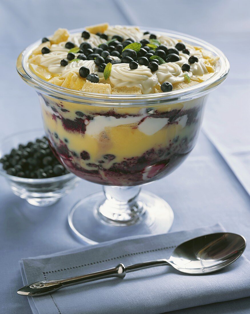 Heidelbeer-Trifle