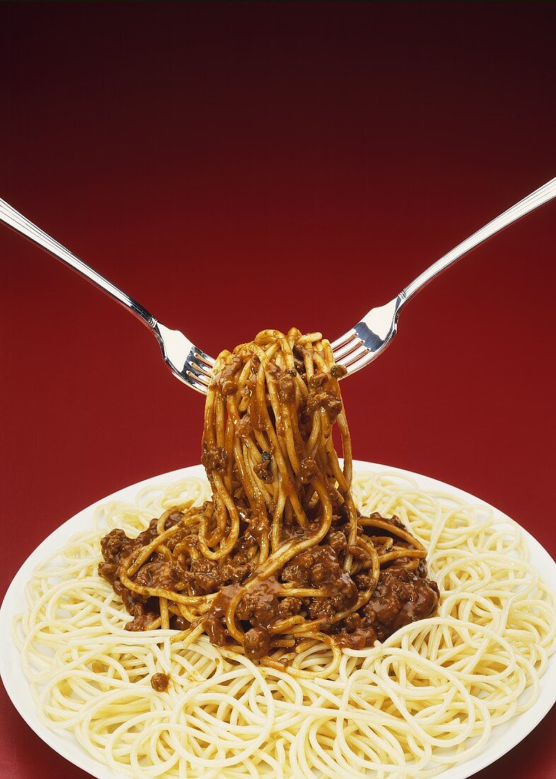 Spaghetti mit Fleischsauce auf Teller & auf zwei Gabeln gewickelt